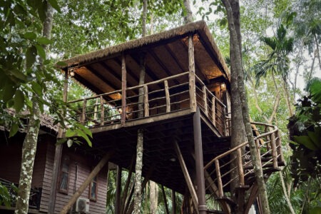 Treetop Mansion