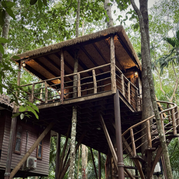 Treetop Mansion